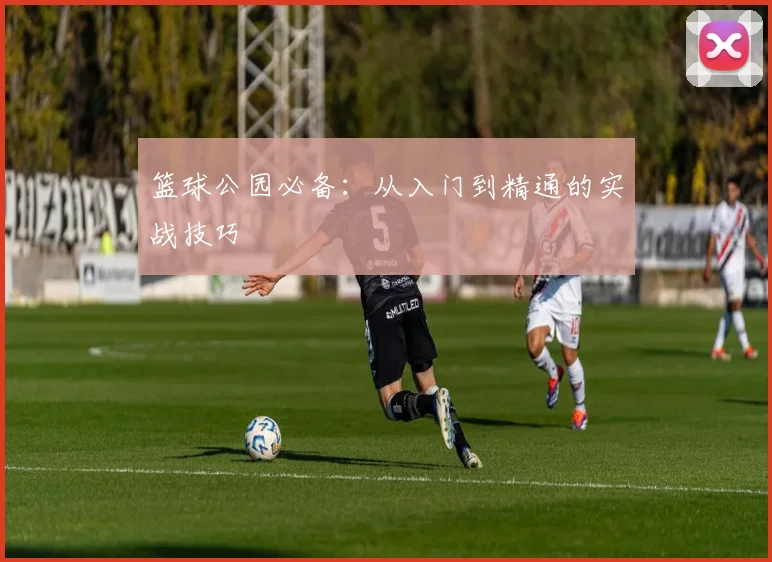篮球公园必备：从入门到精通的实战技巧