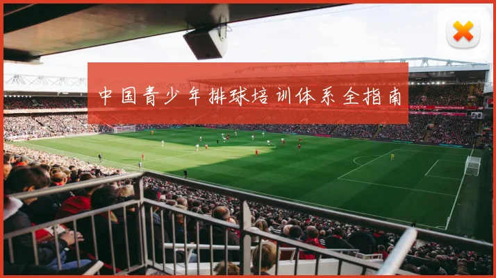 中国青少年排球培训体系全指南