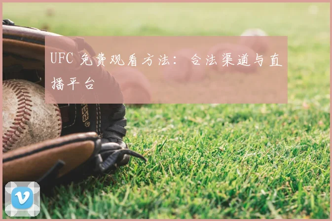 UFC 免费观看方法:合法渠道与直播平台