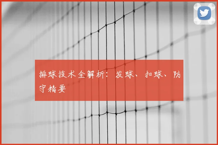 排球技术全解析:发球、扣球、防守精要