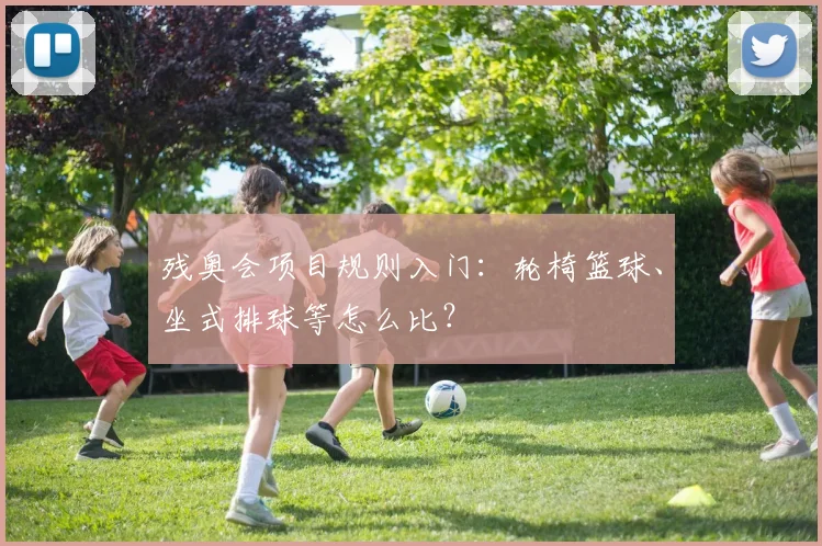 残奥会项目规则入门：轮椅篮球、坐式排球等怎么比？