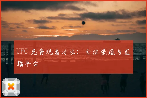 UFC 免费观看方法:合法渠道与直播平台