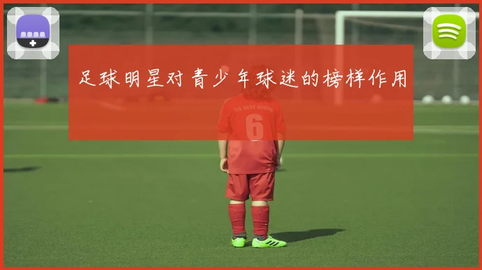 足球明星对青少年球迷的榜样作用